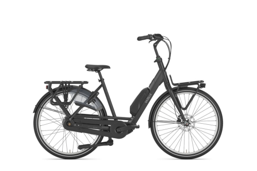 Gazelle Bloom C310
