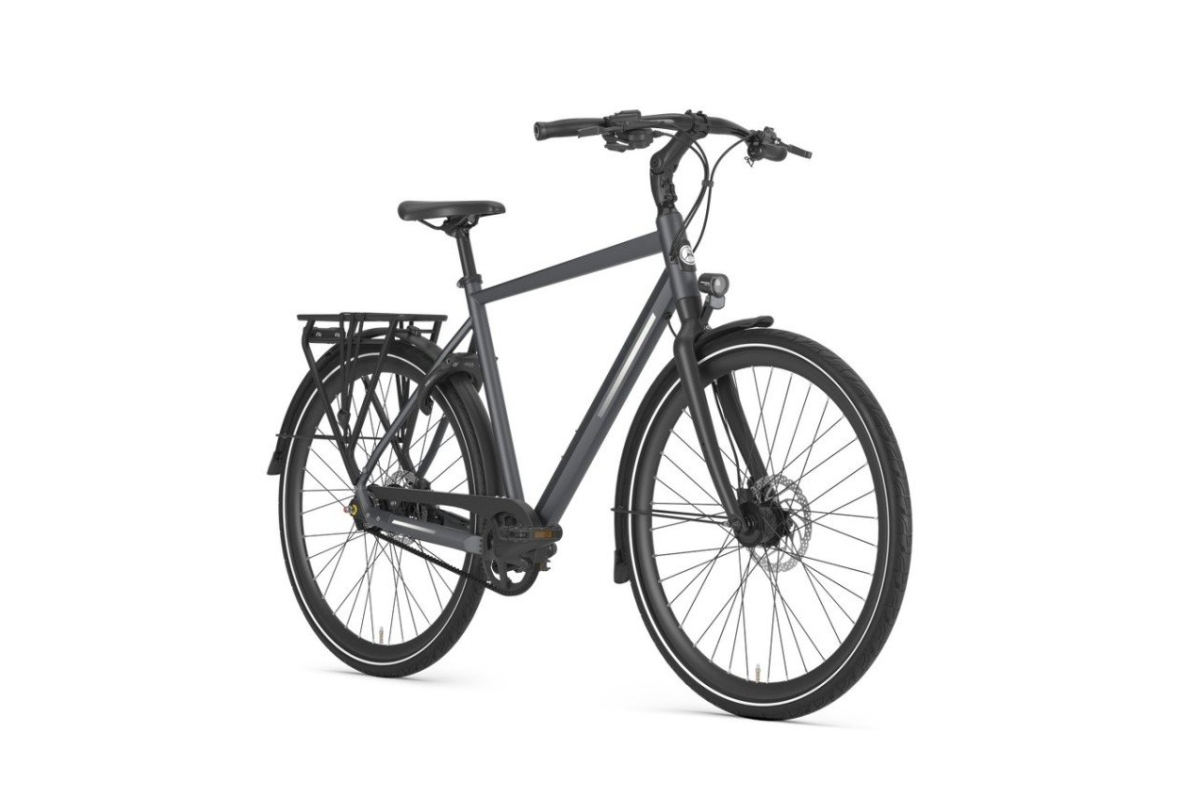Gazelle Chamonix S11 - Afbeelding 3