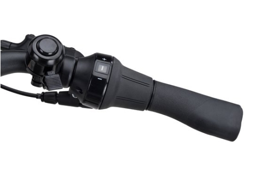 Batavus Altura PT Pro