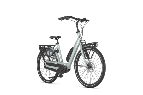 Gazelle Bloom C7