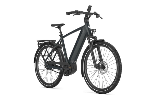 Gazelle Ultimate C380