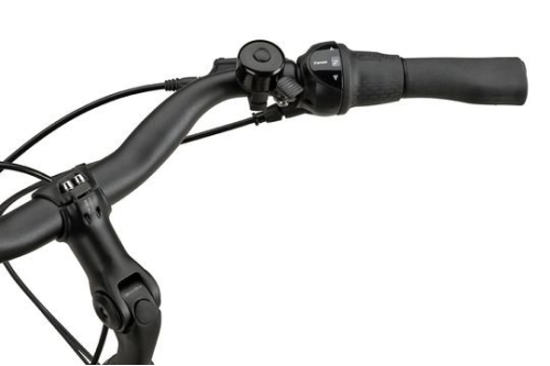 Batavus Altura CP