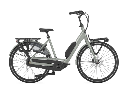 Gazelle Bloom C310