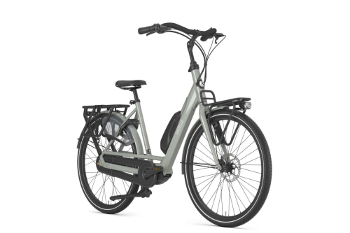 Gazelle Bloom C310