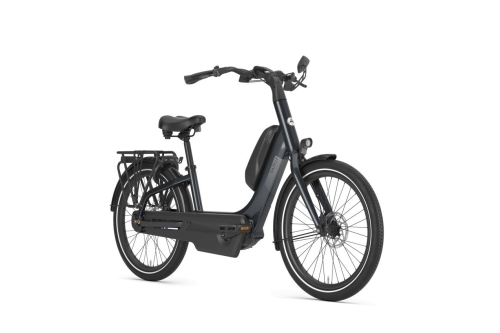 Gazelle Easyflow C8