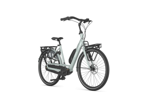 Gazelle Bloom C7