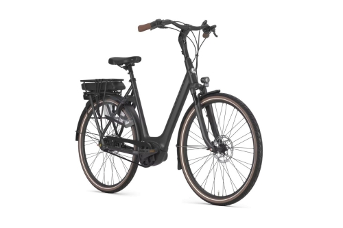 Gazelle Orange C8+