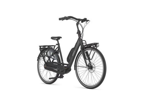 Gazelle Bloom C310